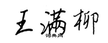王正良王满柳行书个性签名怎么写