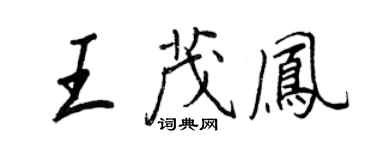 王正良王茂凤行书个性签名怎么写