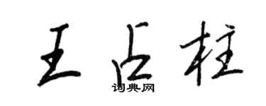 王正良王占柱行书个性签名怎么写