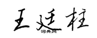 王正良王廷柱行书个性签名怎么写