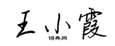 王正良王小霞行书个性签名怎么写