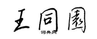 王正良王同园行书个性签名怎么写
