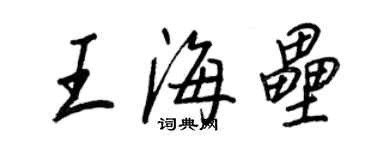 王正良王海垒行书个性签名怎么写