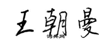 王正良王朝曼行书个性签名怎么写