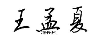 王正良王孟夏行书个性签名怎么写
