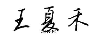王正良王夏禾行书个性签名怎么写