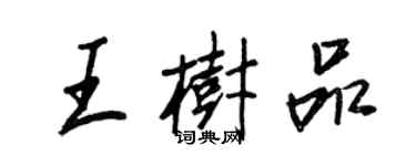 王正良王树品行书个性签名怎么写