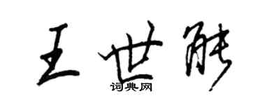 王正良王世能行书个性签名怎么写