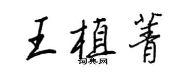 王正良王植菁行书个性签名怎么写