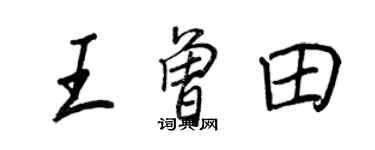 王正良王曾田行书个性签名怎么写