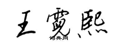 王正良王霓熙行书个性签名怎么写