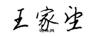 王正良王家望行书个性签名怎么写