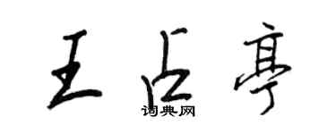 王正良王占亭行书个性签名怎么写