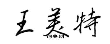 王正良王美特行书个性签名怎么写