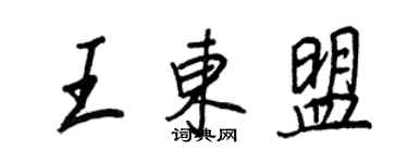 王正良王东盟行书个性签名怎么写