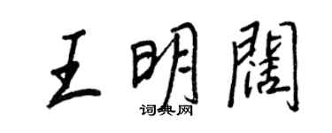 王正良王明阔行书个性签名怎么写