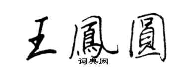 王正良王凤圆行书个性签名怎么写