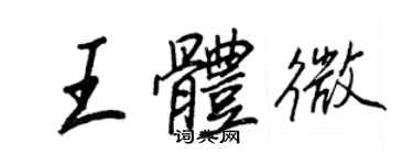 王正良王体微行书个性签名怎么写