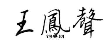 王正良王凤声行书个性签名怎么写