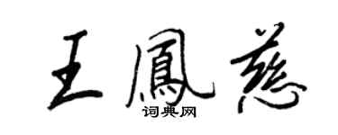 王正良王凤慈行书个性签名怎么写