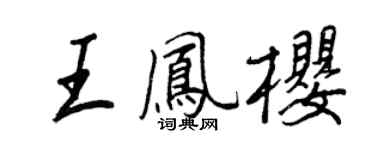 王正良王凤樱行书个性签名怎么写