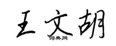 王正良王文胡行书个性签名怎么写