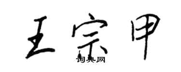 王正良王宗甲行书个性签名怎么写