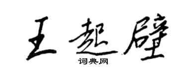 王正良王起壁行书个性签名怎么写