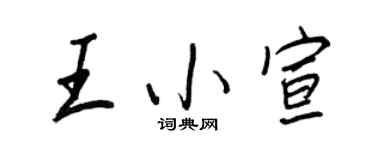 王正良王小宣行书个性签名怎么写