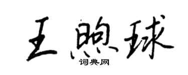 王正良王煦球行书个性签名怎么写