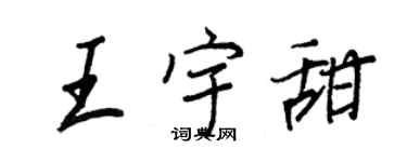 王正良王宇甜行书个性签名怎么写