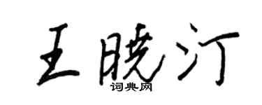 王正良王晓汀行书个性签名怎么写