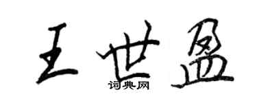 王正良王世盈行书个性签名怎么写