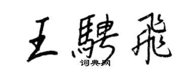 王正良王骋飞行书个性签名怎么写