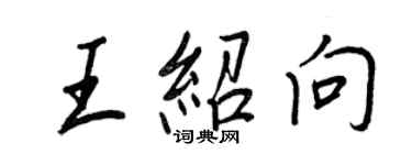 王正良王绍向行书个性签名怎么写