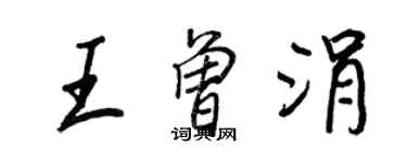 王正良王曾涓行书个性签名怎么写
