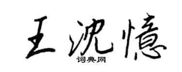 王正良王沈忆行书个性签名怎么写