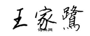 王正良王家鹭行书个性签名怎么写