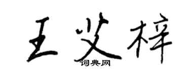 王正良王艾梓行书个性签名怎么写