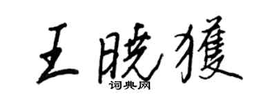 王正良王晓获行书个性签名怎么写