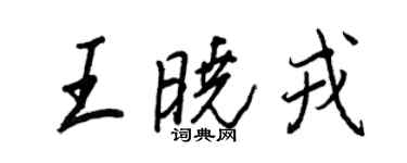 王正良王晓戎行书个性签名怎么写