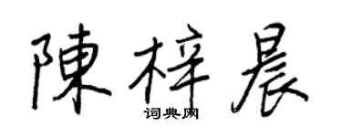 王正良陈梓晨行书个性签名怎么写
