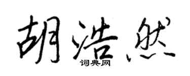 王正良胡浩然行书个性签名怎么写