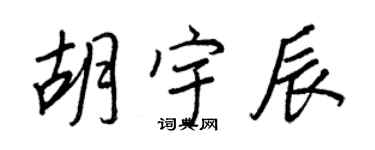 王正良胡宇辰行书个性签名怎么写