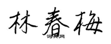 王正良林春梅行书个性签名怎么写