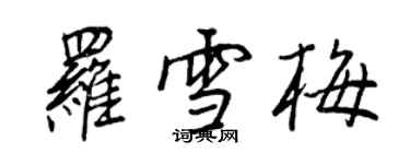 王正良罗雪梅行书个性签名怎么写