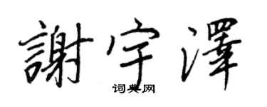 王正良谢宇泽行书个性签名怎么写