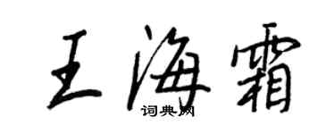 王正良王海霜行书个性签名怎么写