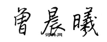 王正良曾晨曦行书个性签名怎么写