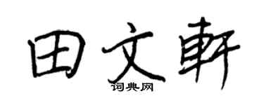 王正良田文轩行书个性签名怎么写